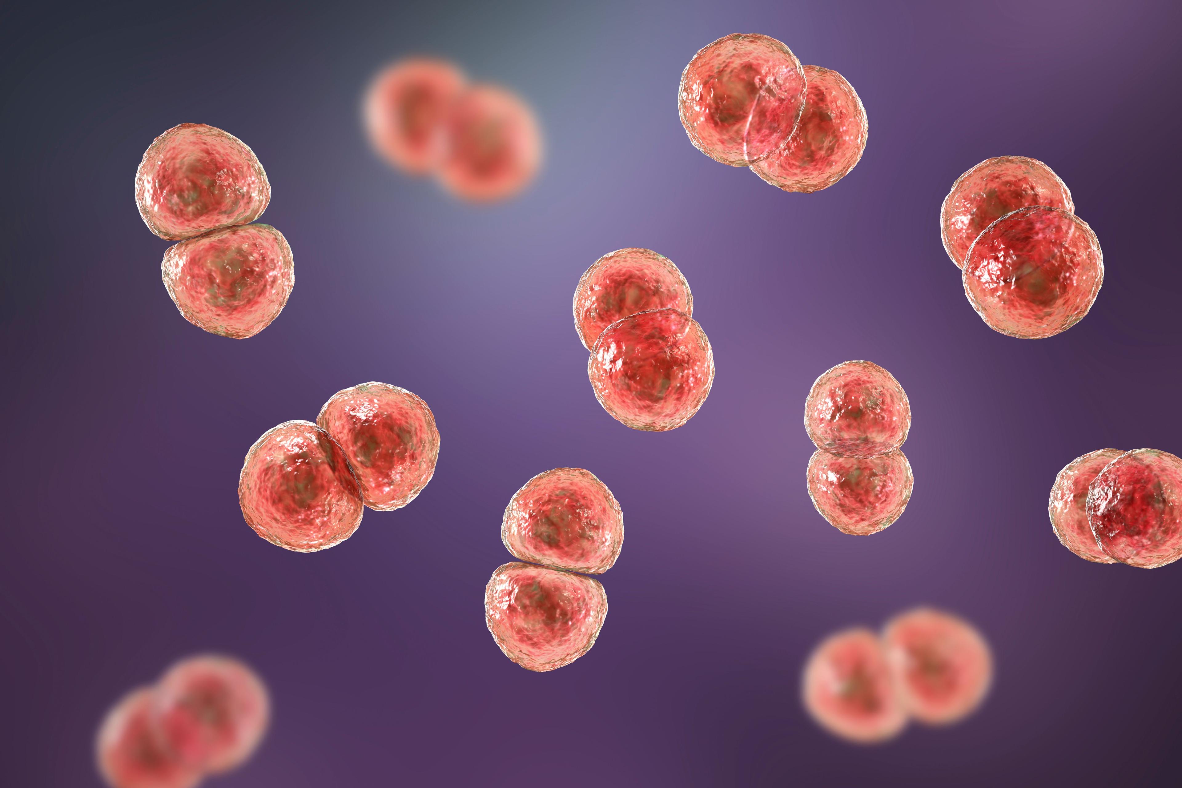 Streptococcus pneumonaie poses a serious threat to public health. | Image credit: Dr_Microbe - stock.adobe.com