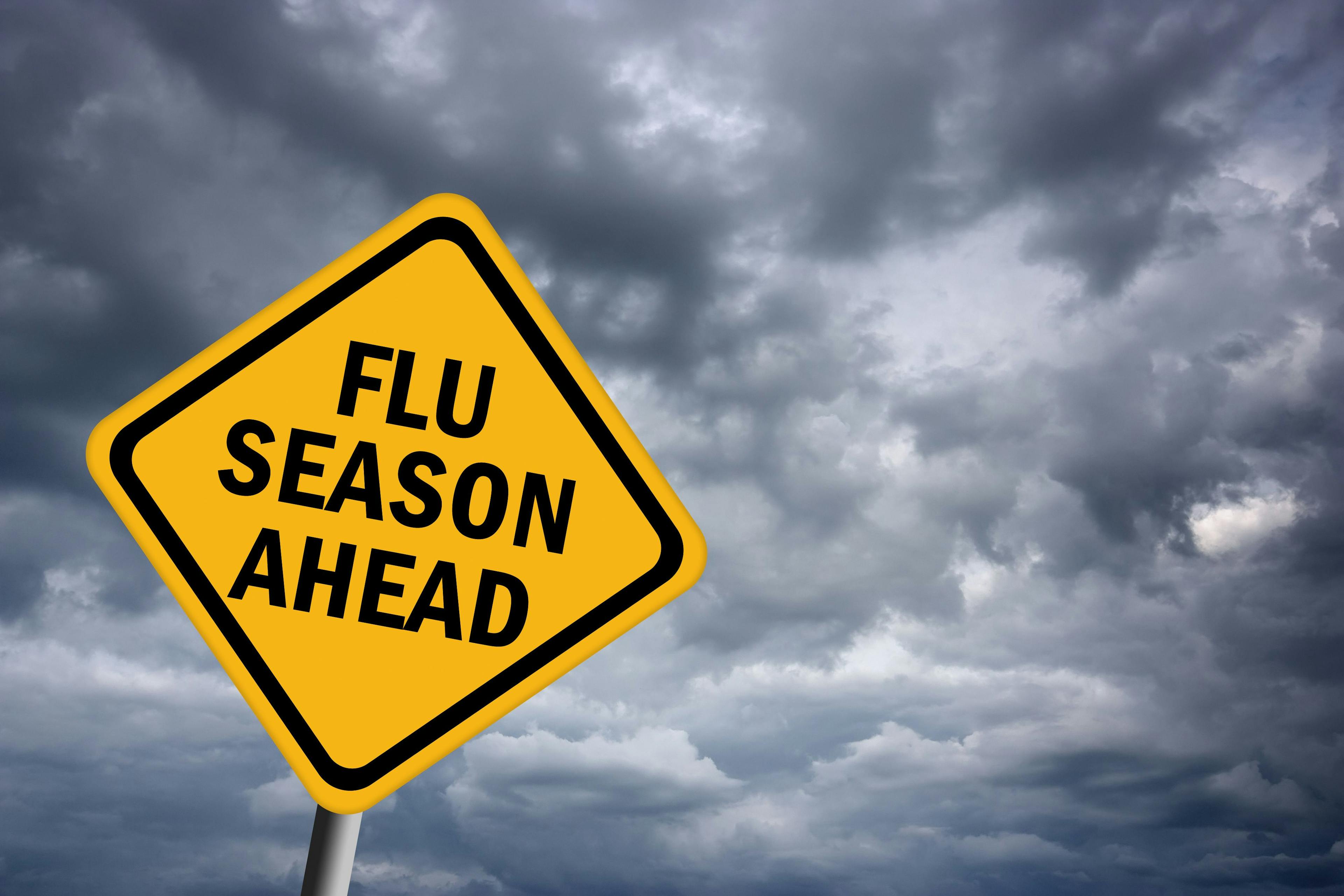 The 2024-2025 Flu Season: What to Expect