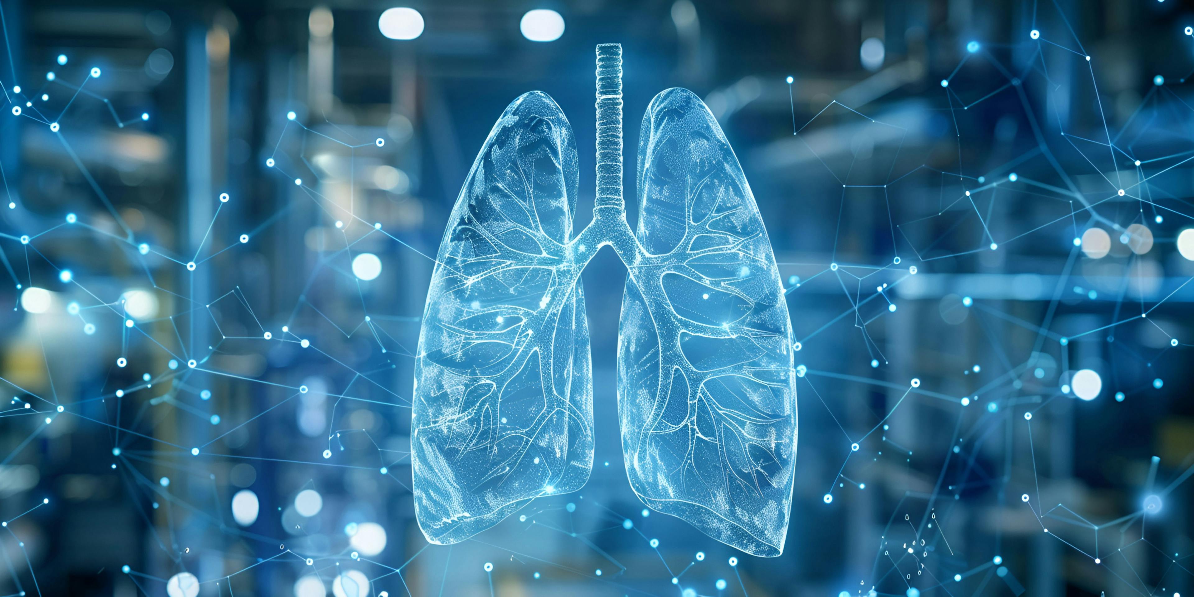 Anatomy of human lungs / Shahidah - stock.adobe.com
 