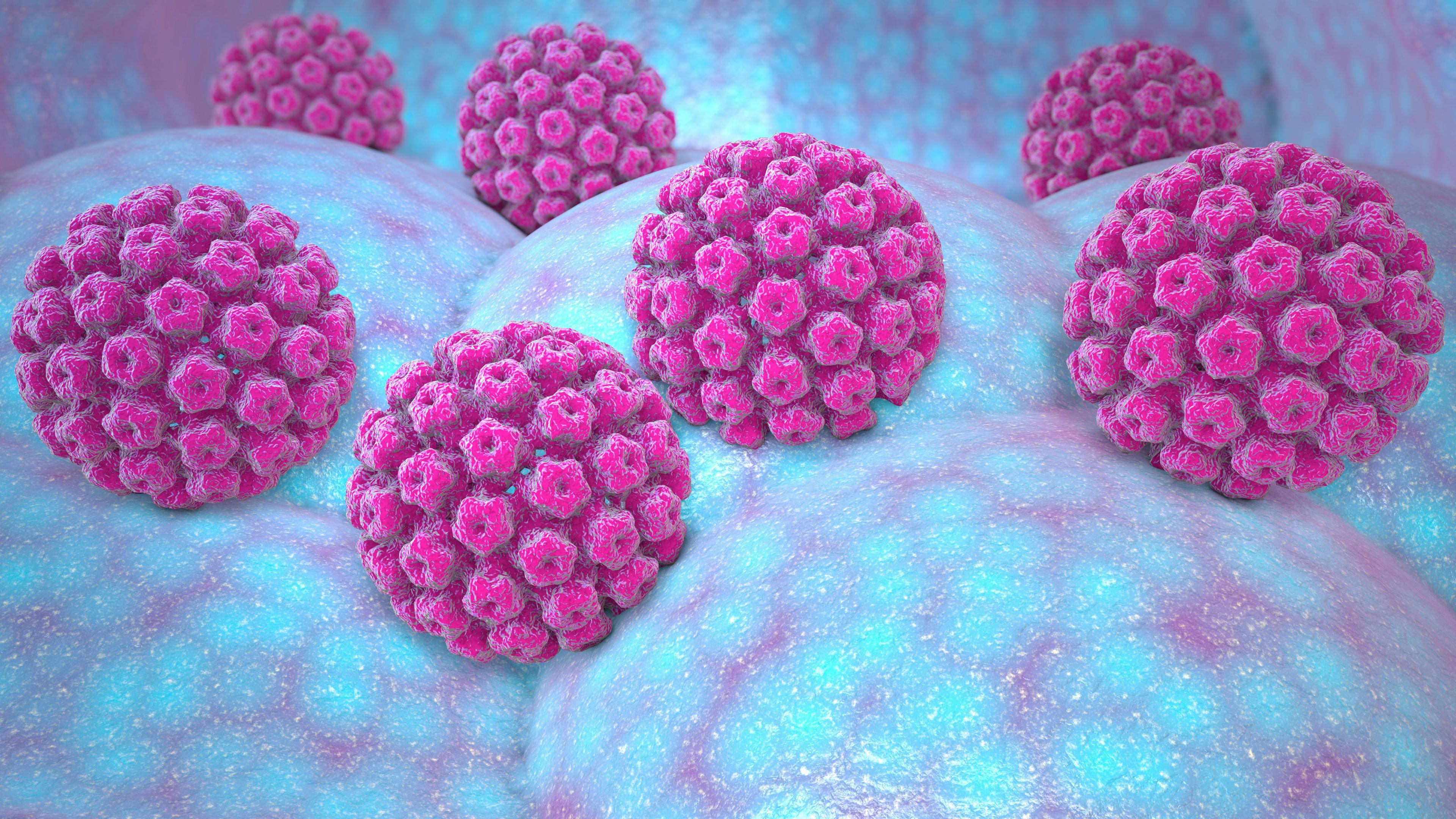 Human papillomavirus / Naeblys - stock.adobe.com