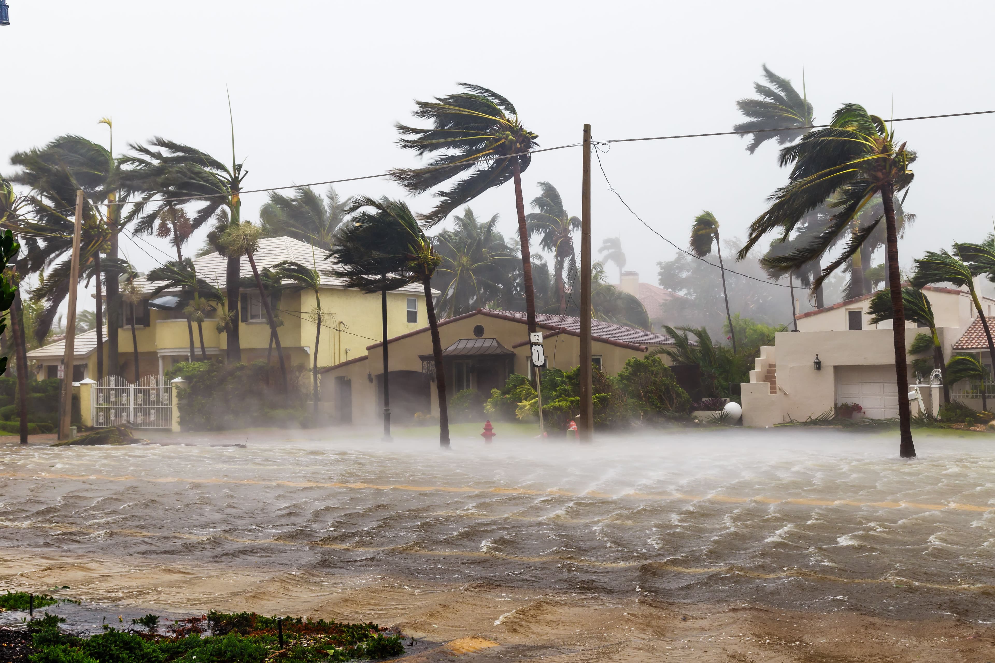 Flooded street during hurricane / Satoshi Kina - stock.adobe.com