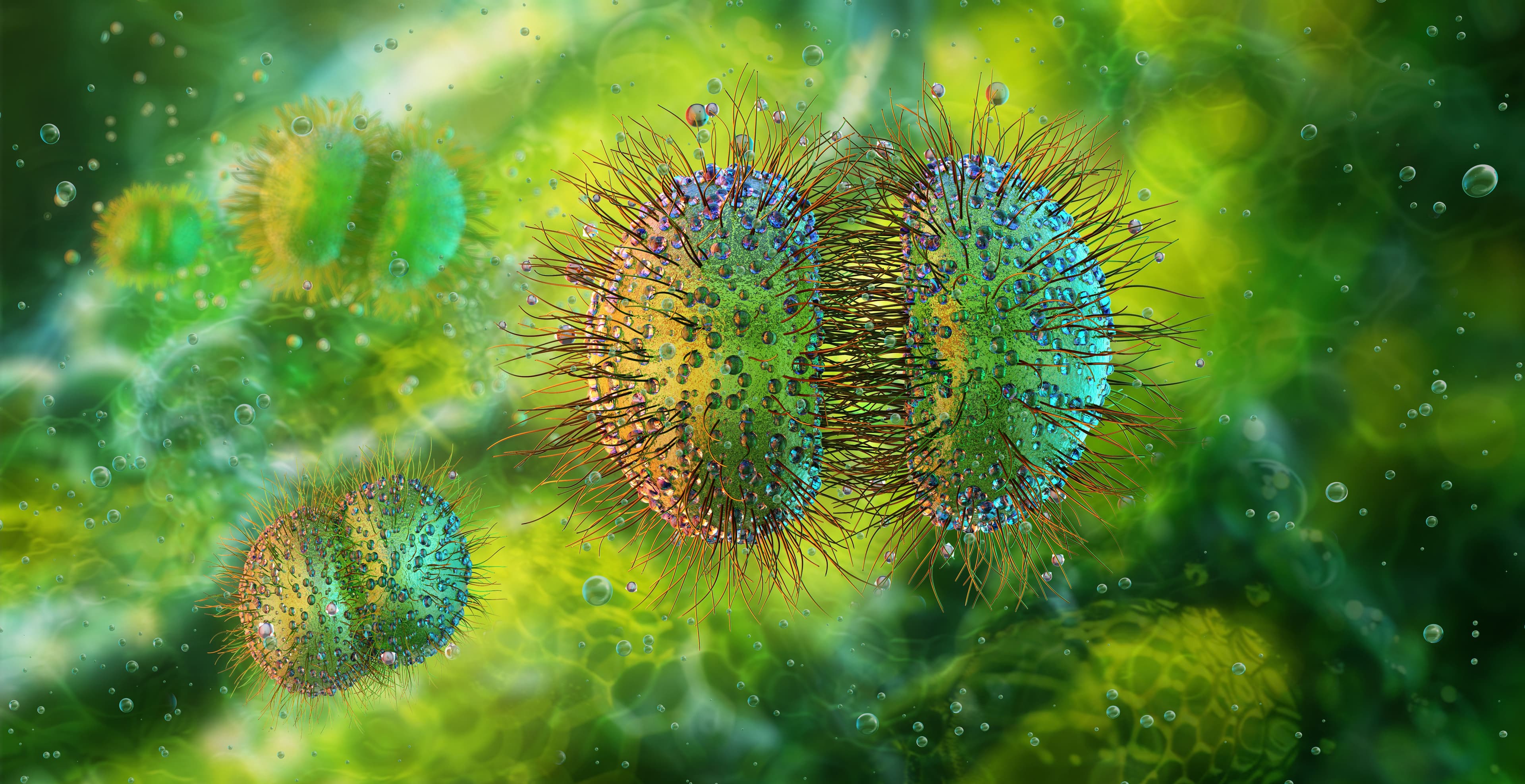 A rise in meningococcal disease cases has been attributed to Nesseria meningitidis serogroup Y. | Image credit: Corona Borealis - stock.adobe.com