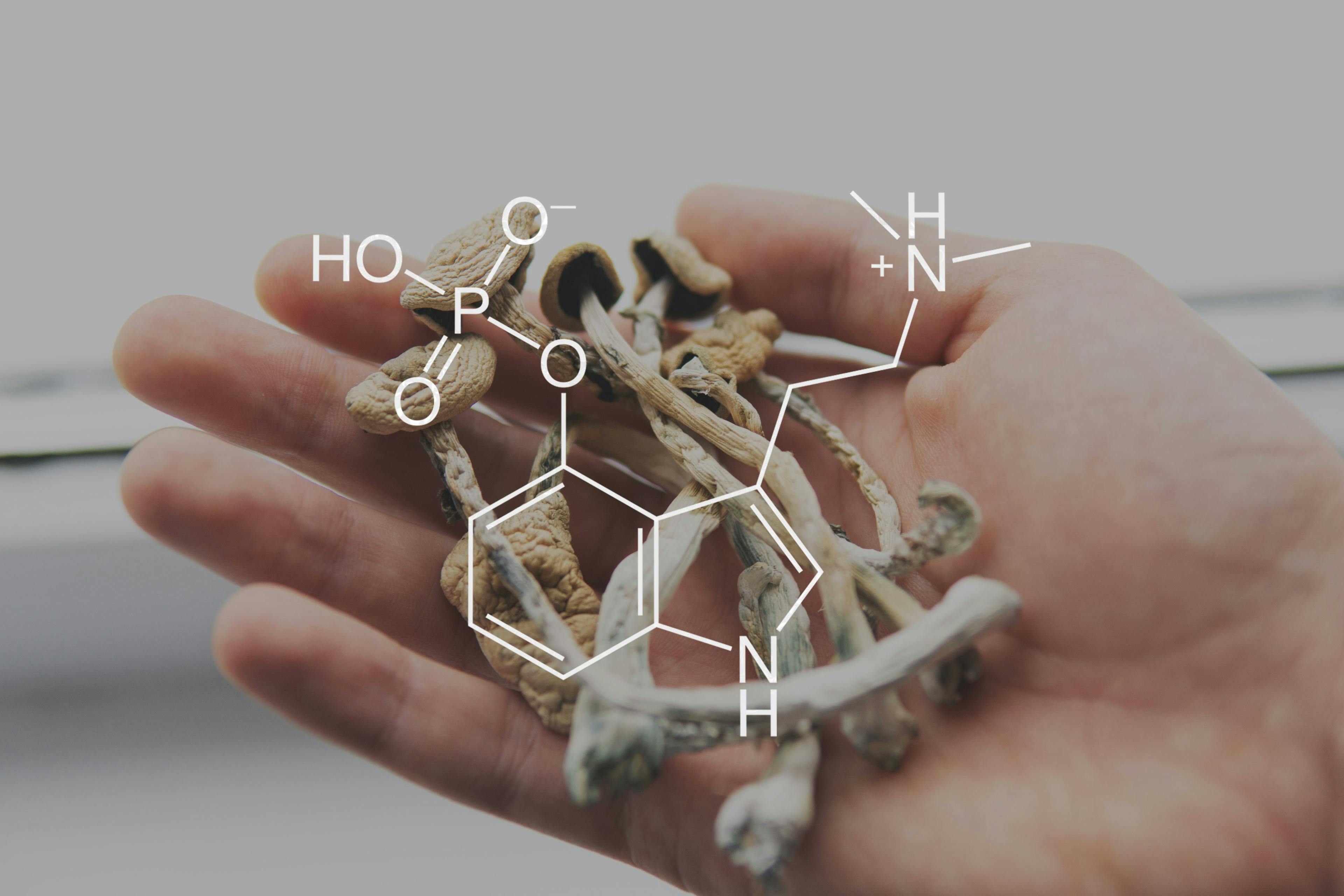 Chemical formula of psilocybin / cendeced - stock.adobe.com