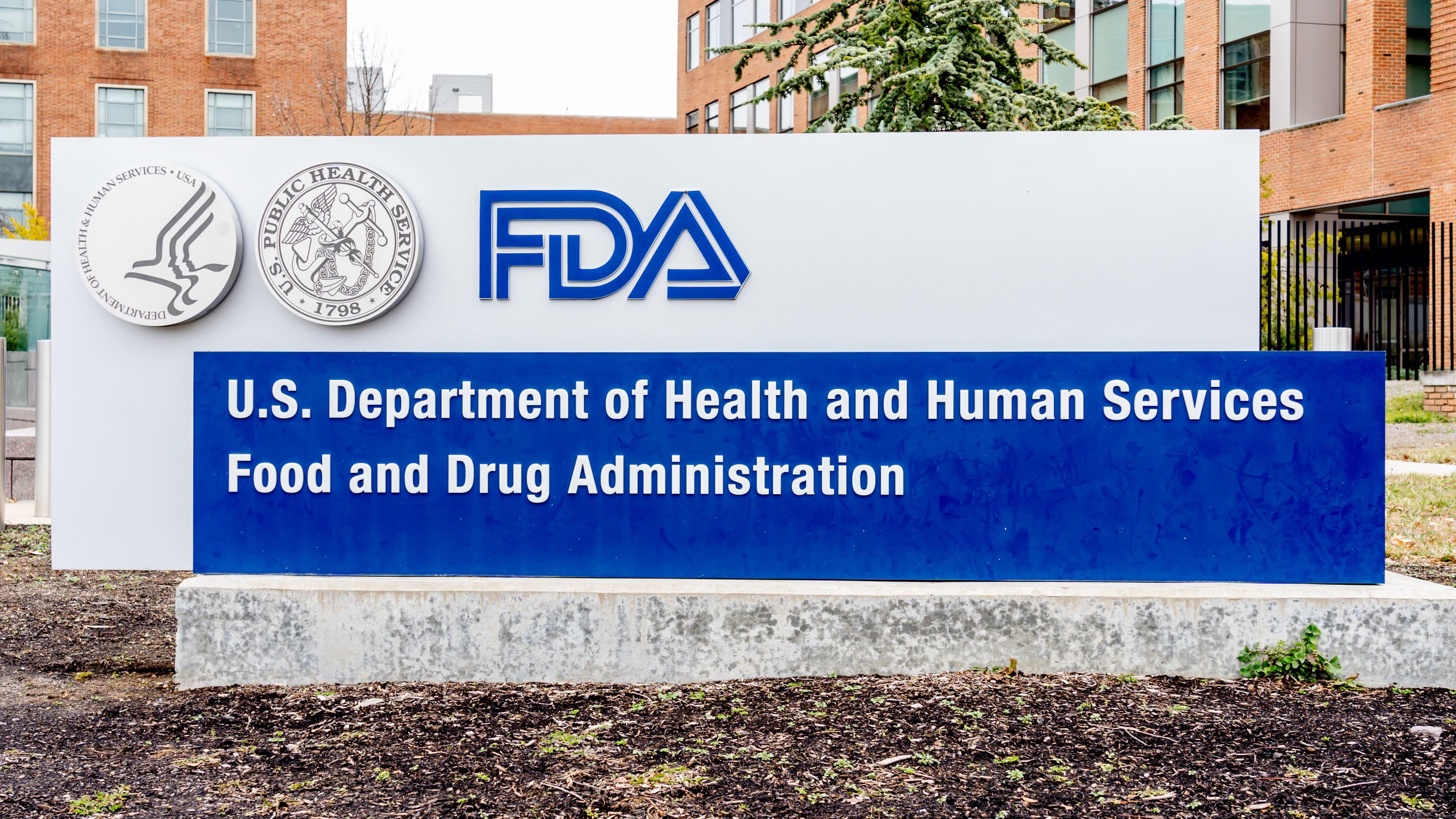 FDA Accepts BLA Resubmission for Epidermolysis Bullosa Gene Therapy