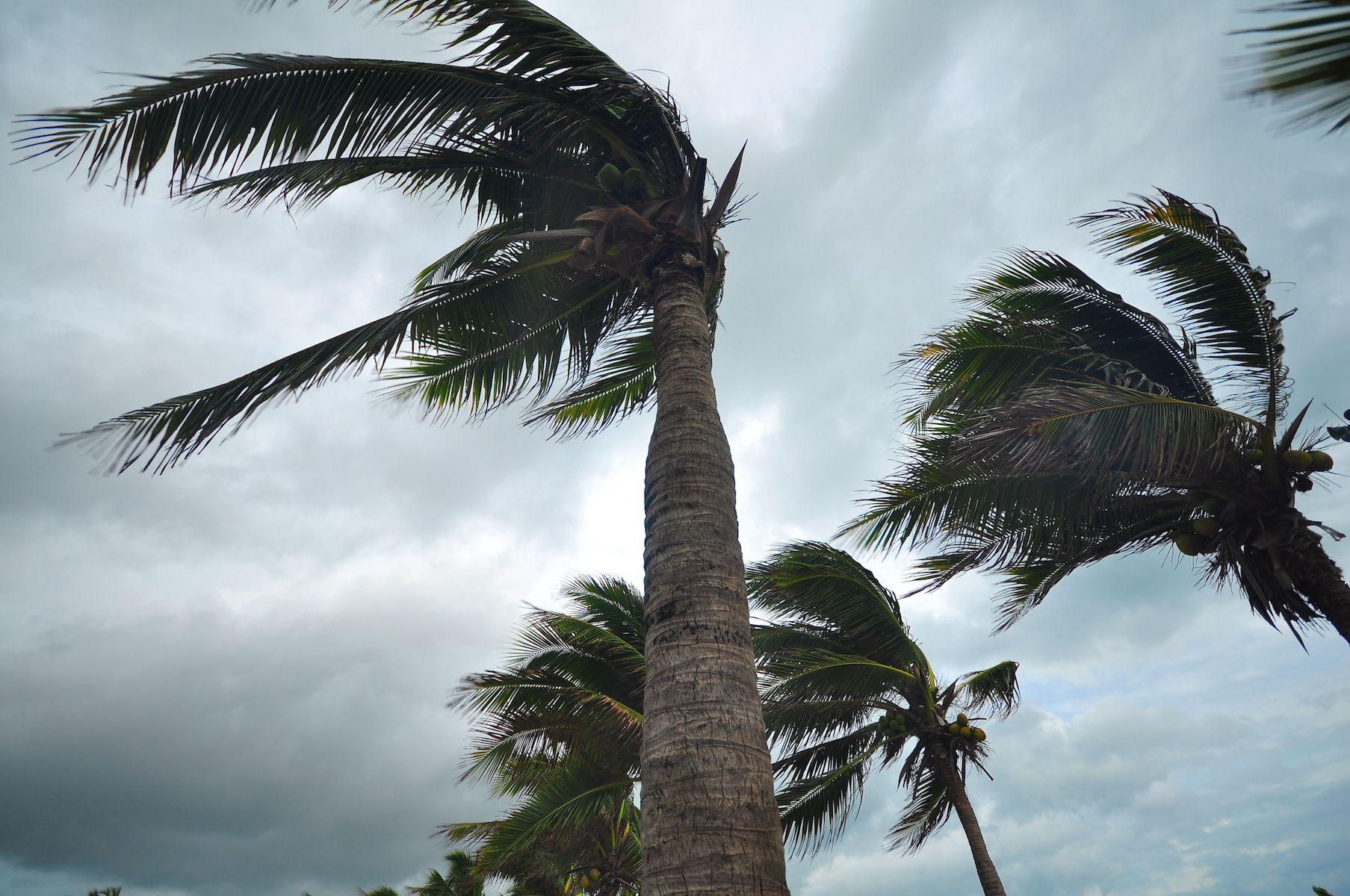 Now Trending: World Dense Breast Day, Addressing Public Health Amidst Natural Disasters