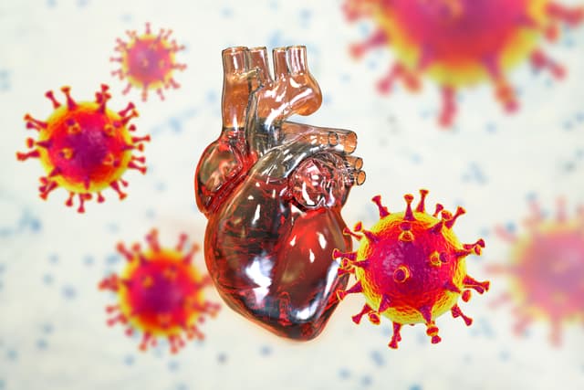 COVID-19 Infection Raises Heart Failure Risks, Underlines Vaccination Importance