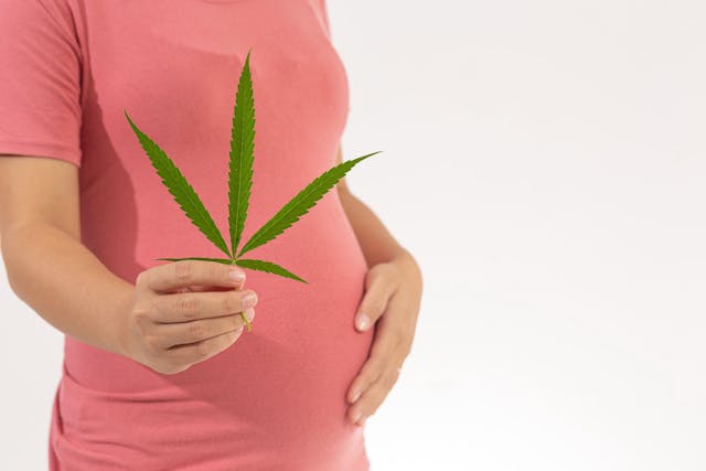 Prenatal Cannabis Use and Maternal Health Outcomes