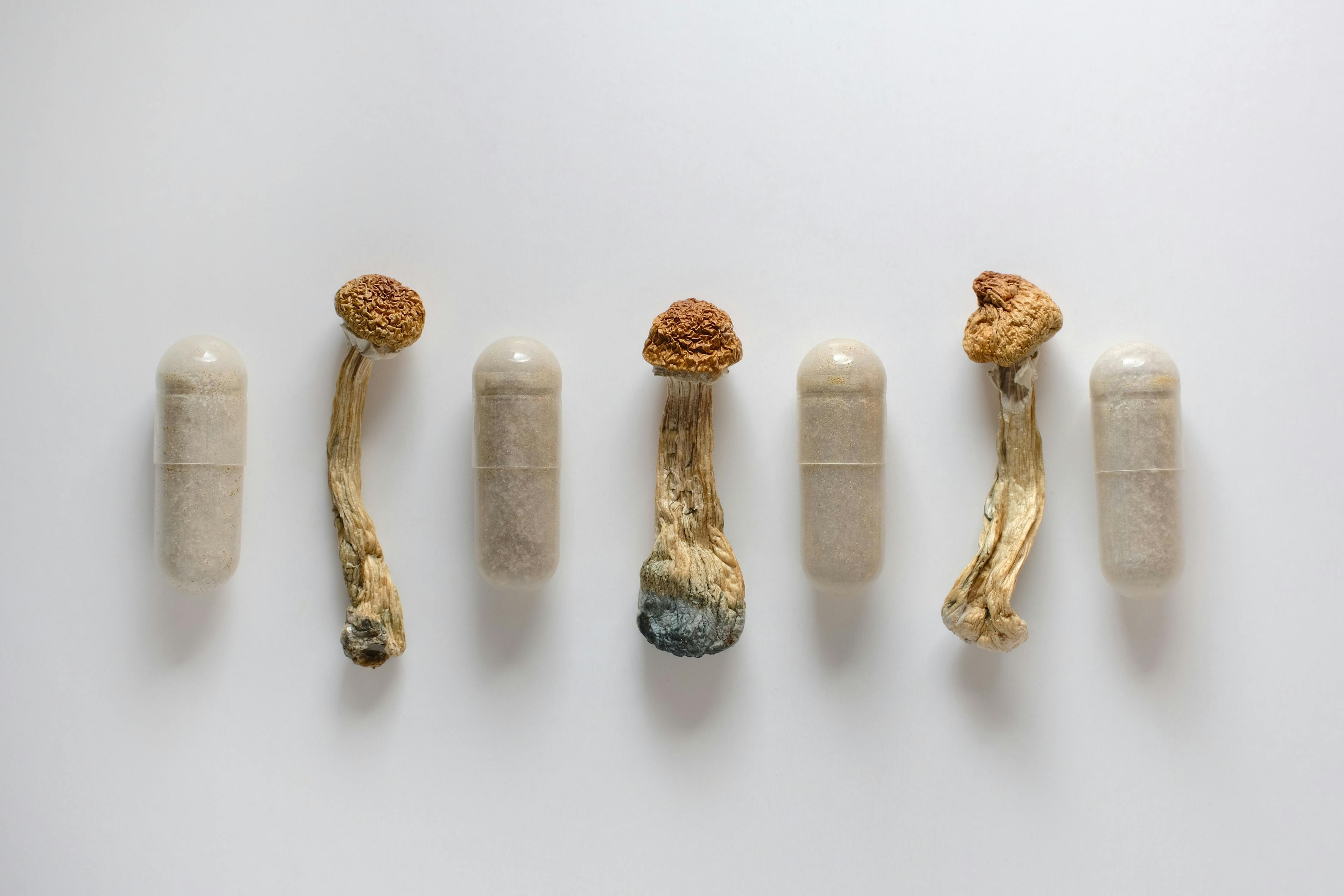 Psilocybin Side Effects Found to be Tolerable, Resolve Within 2 Days